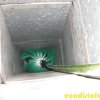 21 fase di spazzolamento